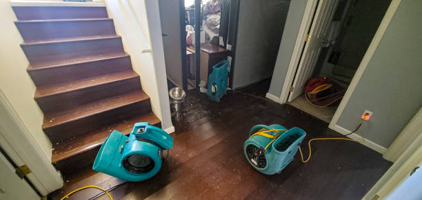 Best Water damage mitigation services  in Marion, IL