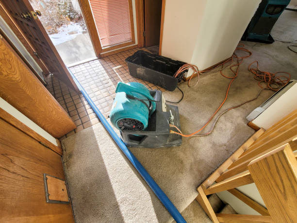 Best Emergency water extraction  in Marion, IL
