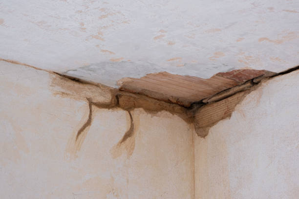 Best Local water damage restoration  in Marion, IL