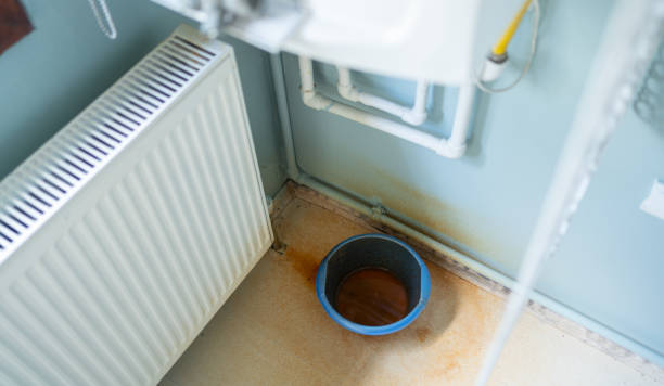 Best Flood damage cleanup  in Marion, IL
