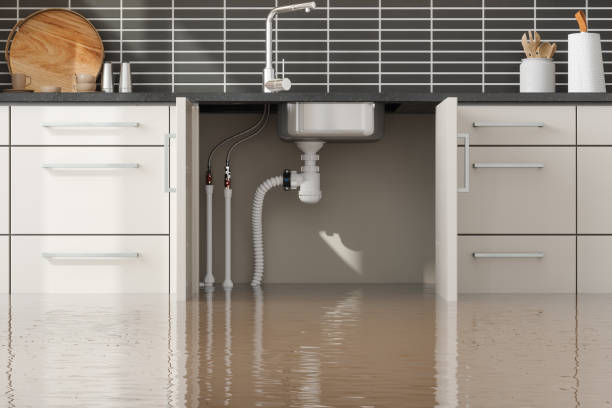 Best Water damage restoration near me  in Marion, IL